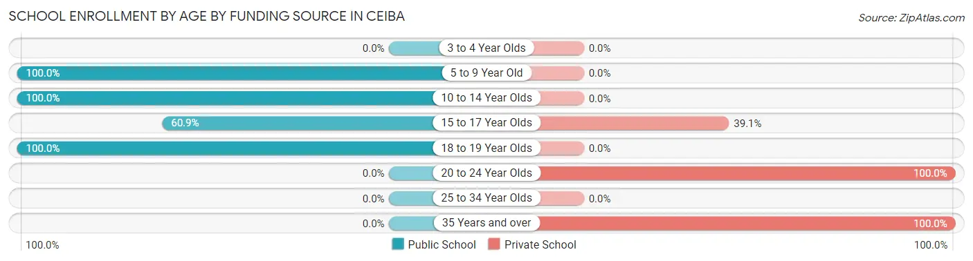 School Enrollment by Age by Funding Source in Ceiba