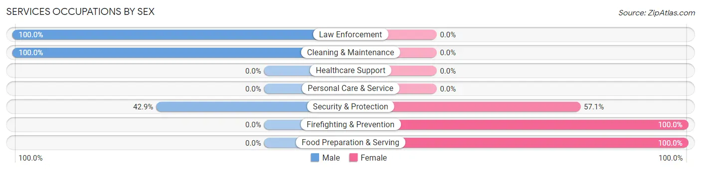 Services Occupations by Sex in Central Aguirre