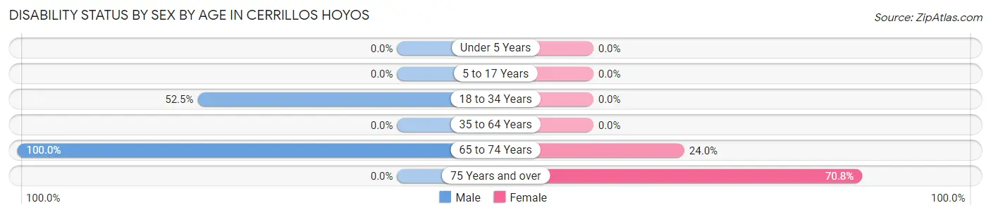 Disability Status by Sex by Age in Cerrillos Hoyos