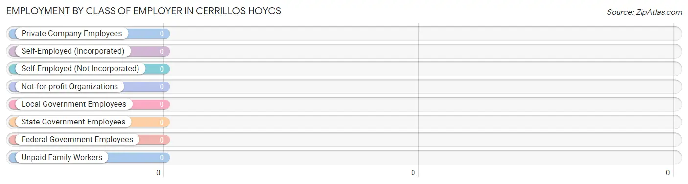 Employment by Class of Employer in Cerrillos Hoyos