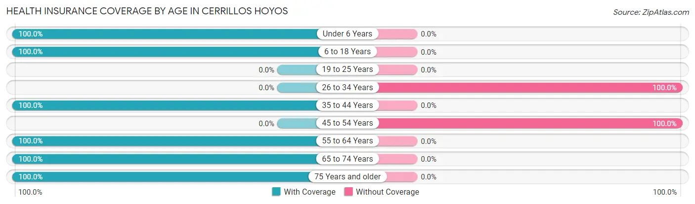 Health Insurance Coverage by Age in Cerrillos Hoyos