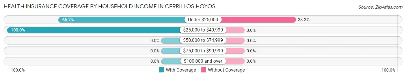 Health Insurance Coverage by Household Income in Cerrillos Hoyos