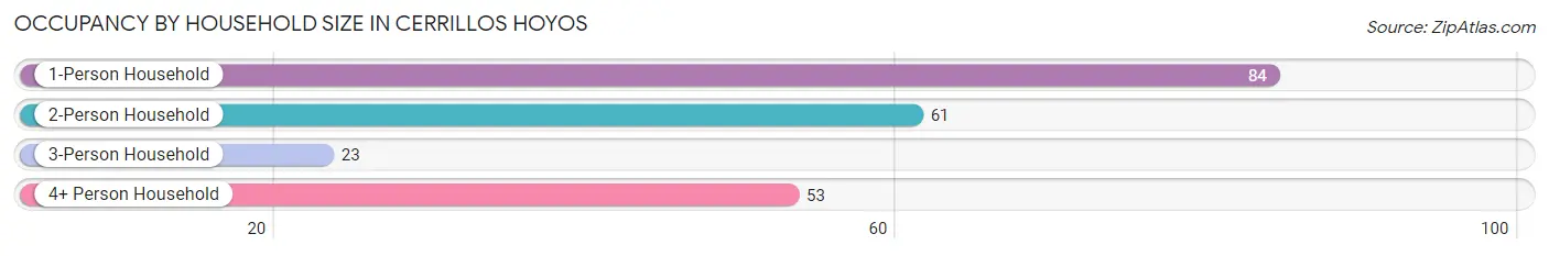 Occupancy by Household Size in Cerrillos Hoyos