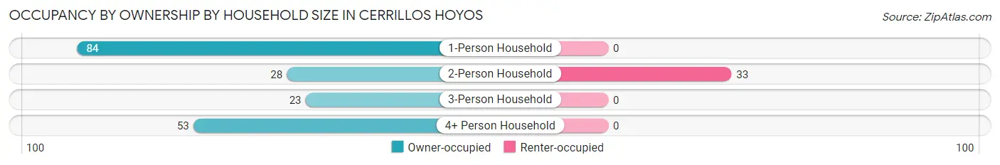 Occupancy by Ownership by Household Size in Cerrillos Hoyos