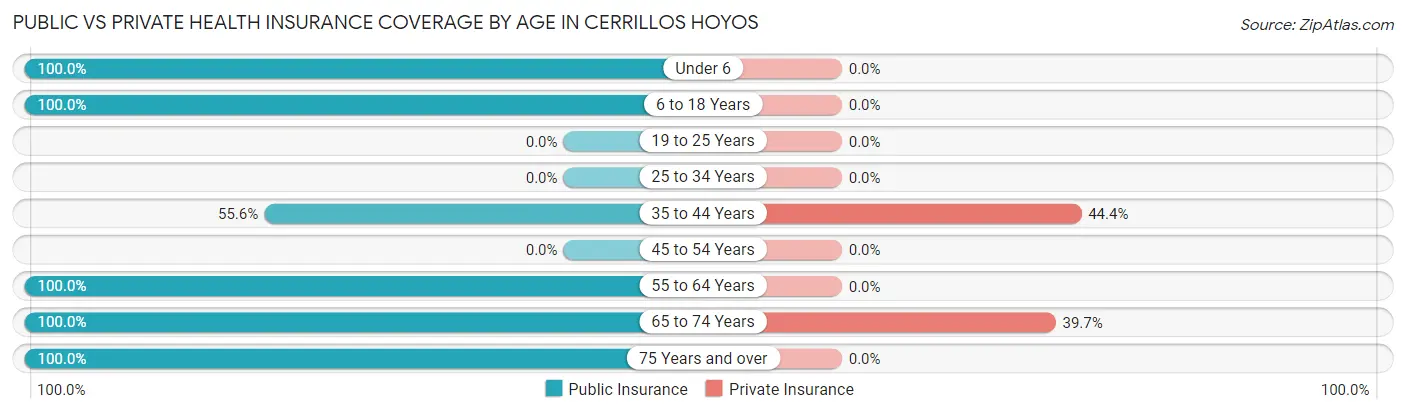 Public vs Private Health Insurance Coverage by Age in Cerrillos Hoyos