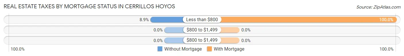 Real Estate Taxes by Mortgage Status in Cerrillos Hoyos