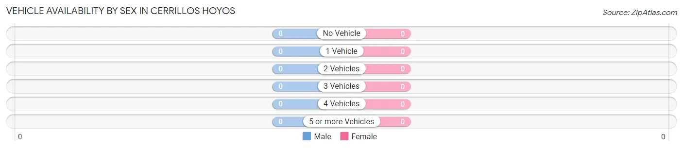 Vehicle Availability by Sex in Cerrillos Hoyos