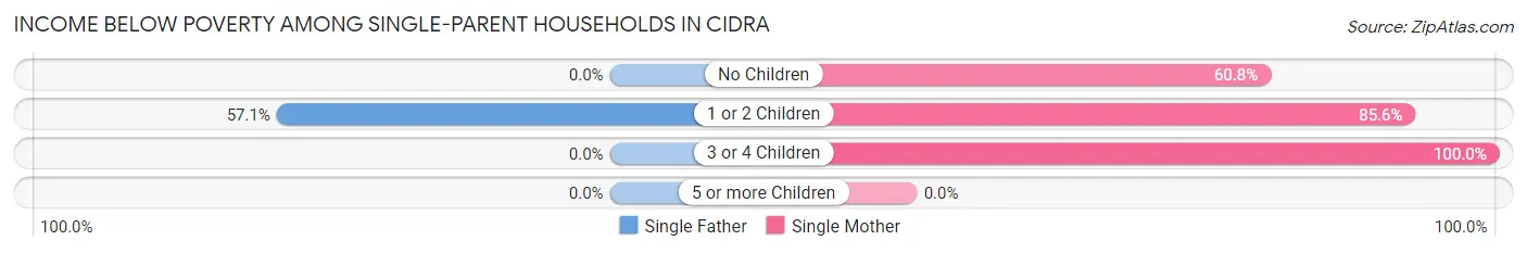 Income Below Poverty Among Single-Parent Households in Cidra
