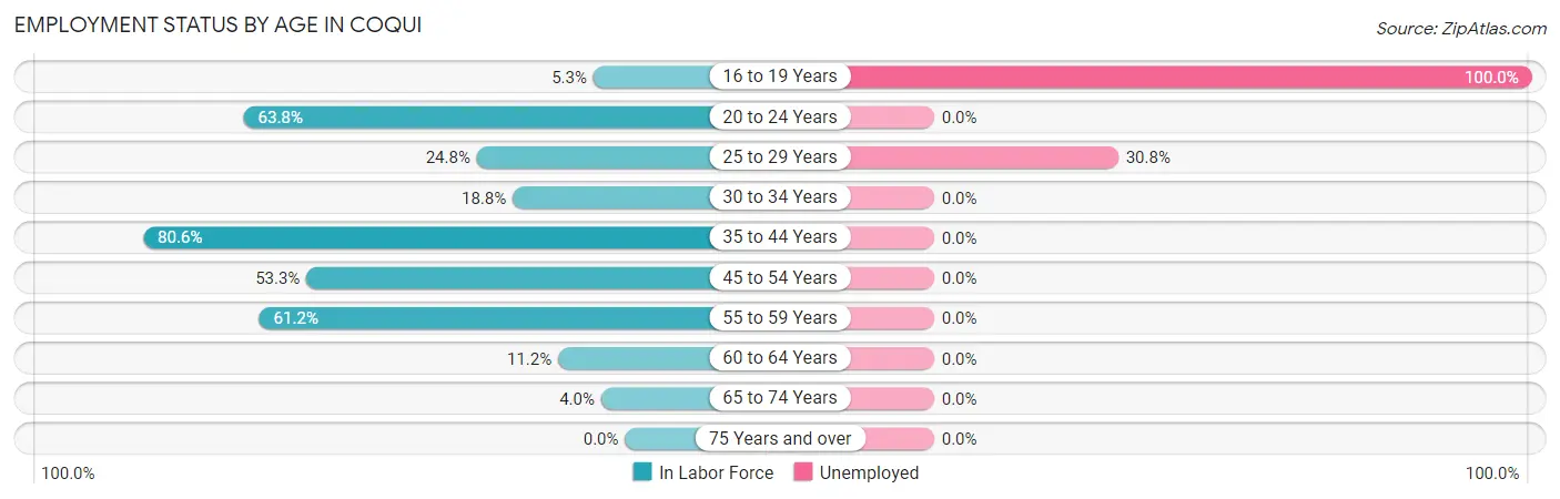 Employment Status by Age in Coqui