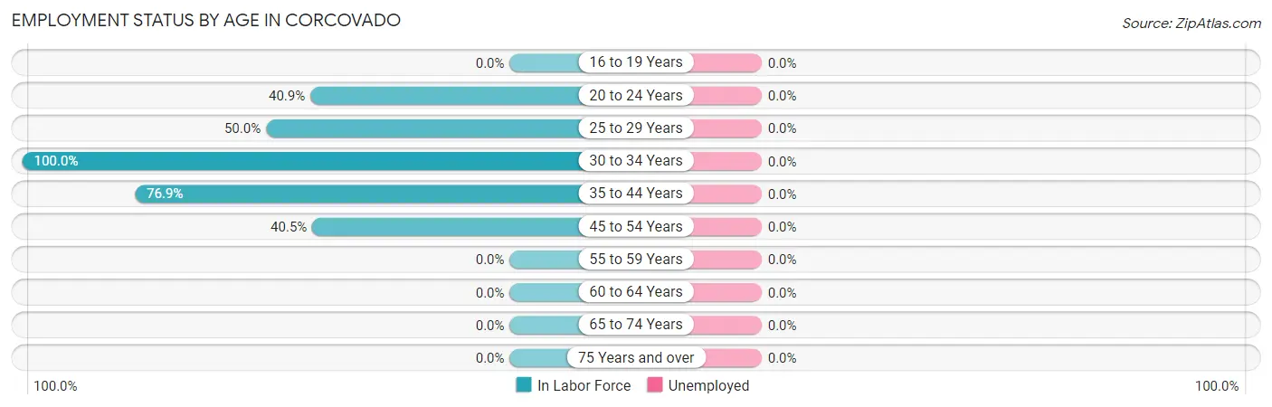 Employment Status by Age in Corcovado