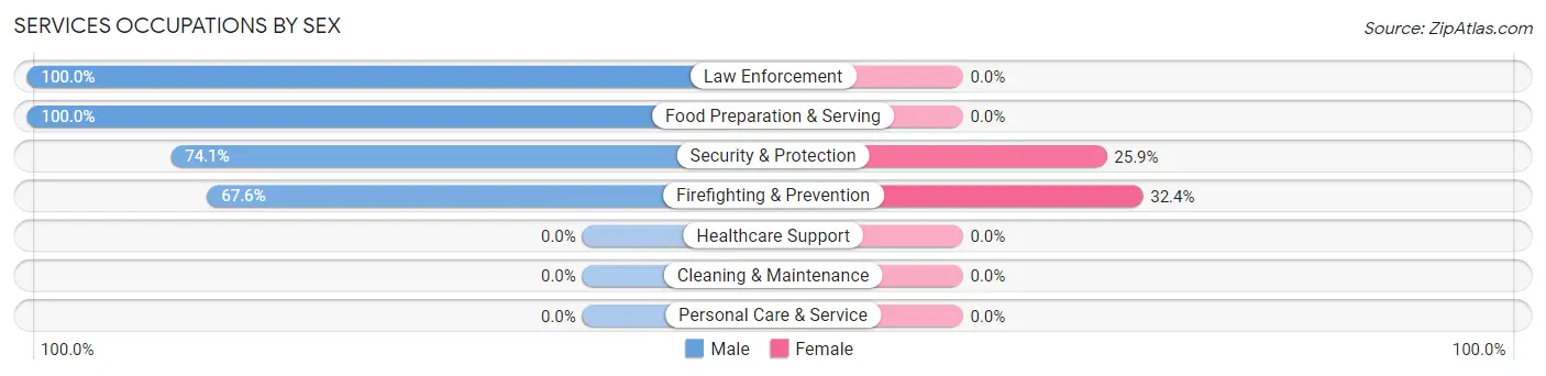Services Occupations by Sex in Corcovado