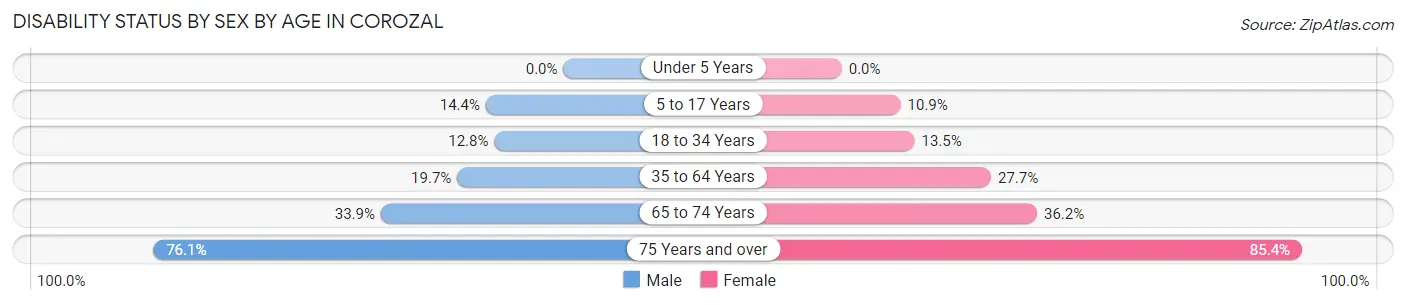 Disability Status by Sex by Age in Corozal