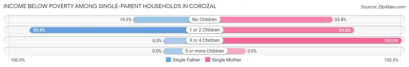 Income Below Poverty Among Single-Parent Households in Corozal
