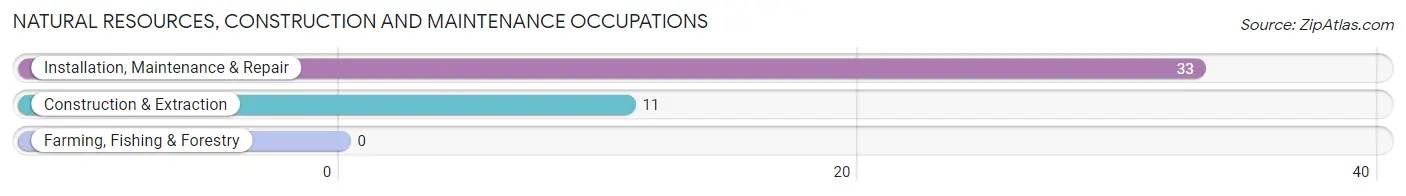 Natural Resources, Construction and Maintenance Occupations in Coto Norte