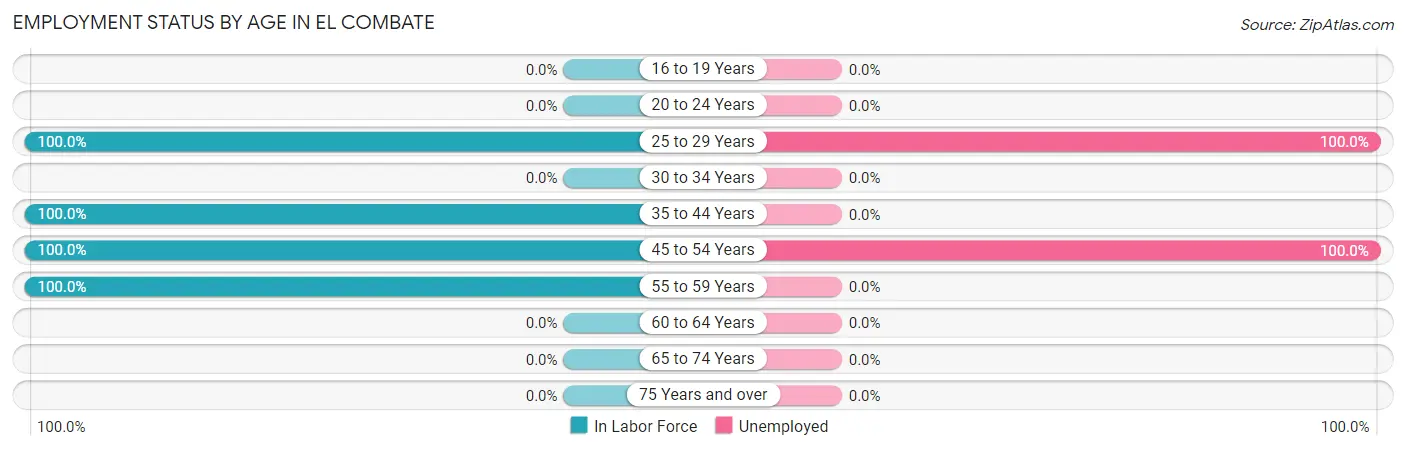 Employment Status by Age in El Combate