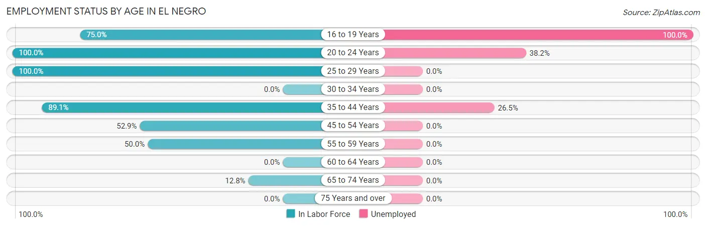 Employment Status by Age in El Negro
