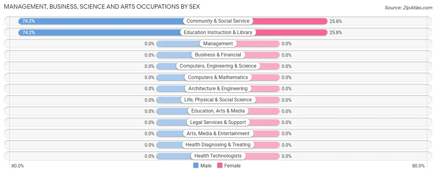 Management, Business, Science and Arts Occupations by Sex in El Negro