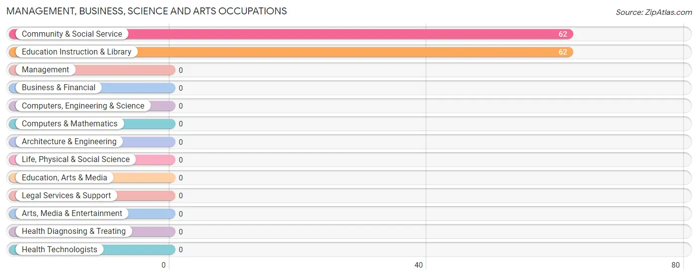 Management, Business, Science and Arts Occupations in El Negro