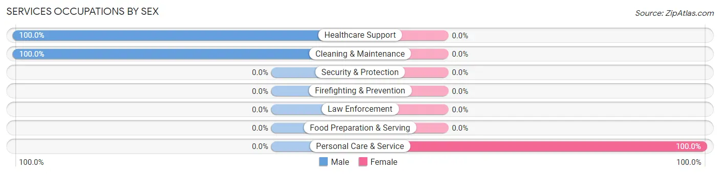 Services Occupations by Sex in El Negro