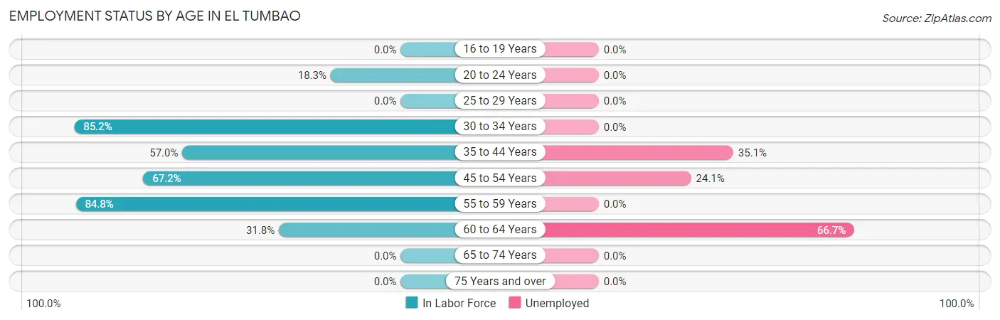 Employment Status by Age in El Tumbao