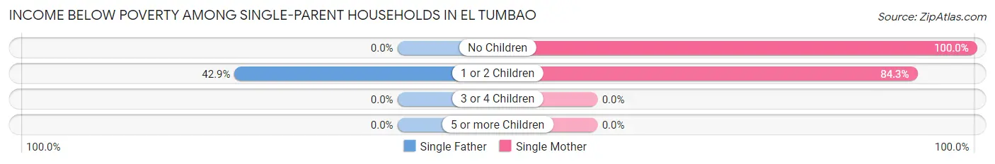 Income Below Poverty Among Single-Parent Households in El Tumbao