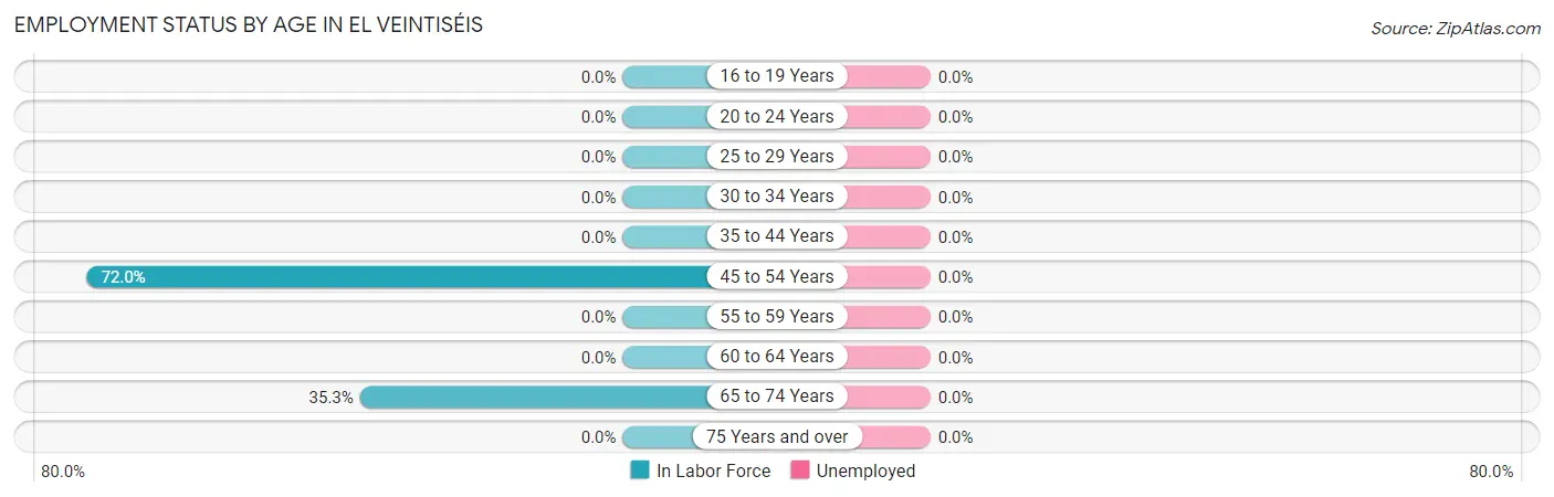 Employment Status by Age in El Veintiséis