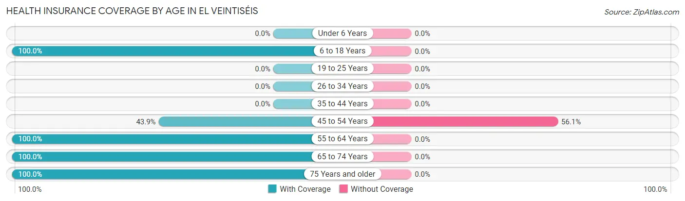 Health Insurance Coverage by Age in El Veintiséis