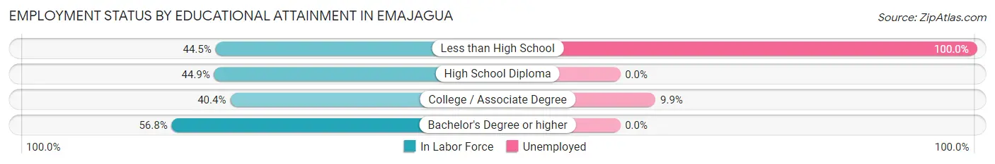 Employment Status by Educational Attainment in Emajagua