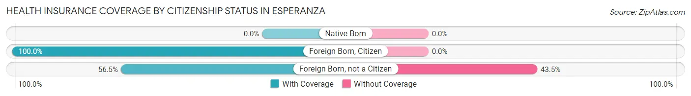 Health Insurance Coverage by Citizenship Status in Esperanza