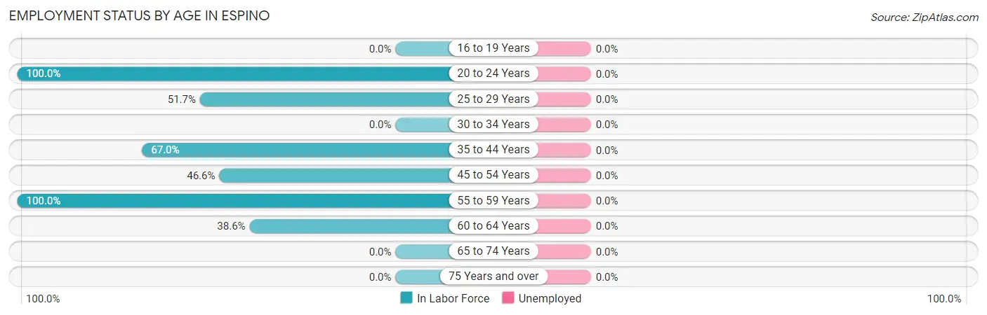 Employment Status by Age in Espino