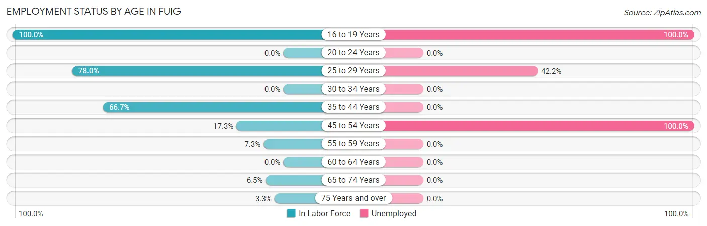 Employment Status by Age in Fuig