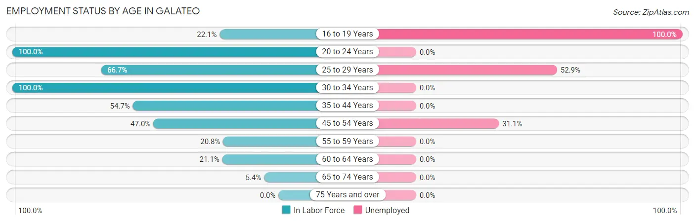 Employment Status by Age in Galateo