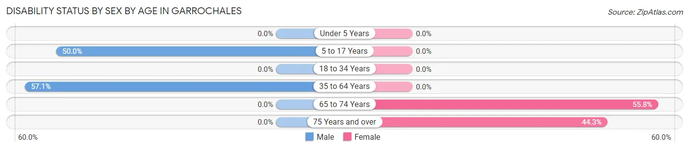 Disability Status by Sex by Age in Garrochales