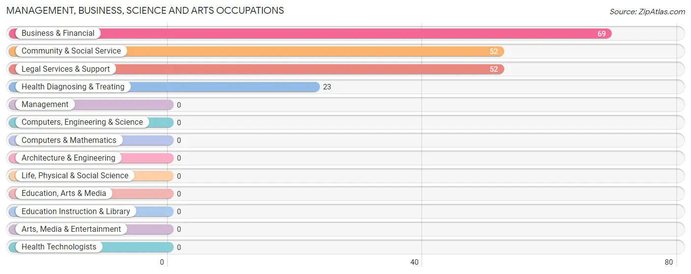 Management, Business, Science and Arts Occupations in Garrochales