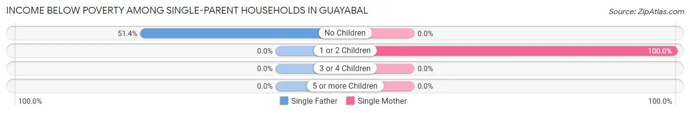 Income Below Poverty Among Single-Parent Households in Guayabal