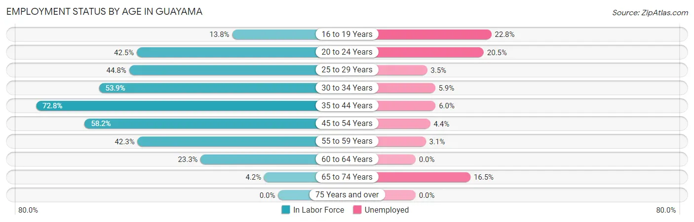 Employment Status by Age in Guayama