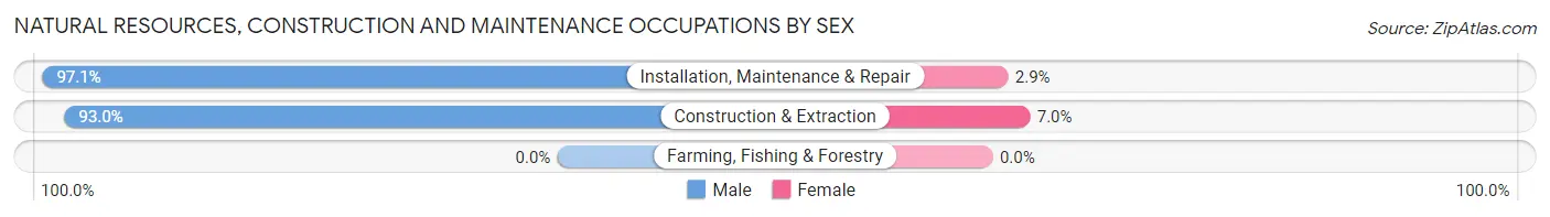 Natural Resources, Construction and Maintenance Occupations by Sex in Guaynabo