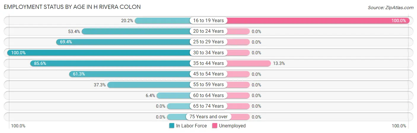 Employment Status by Age in H Rivera Colon
