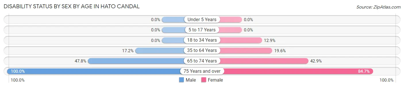 Disability Status by Sex by Age in Hato Candal