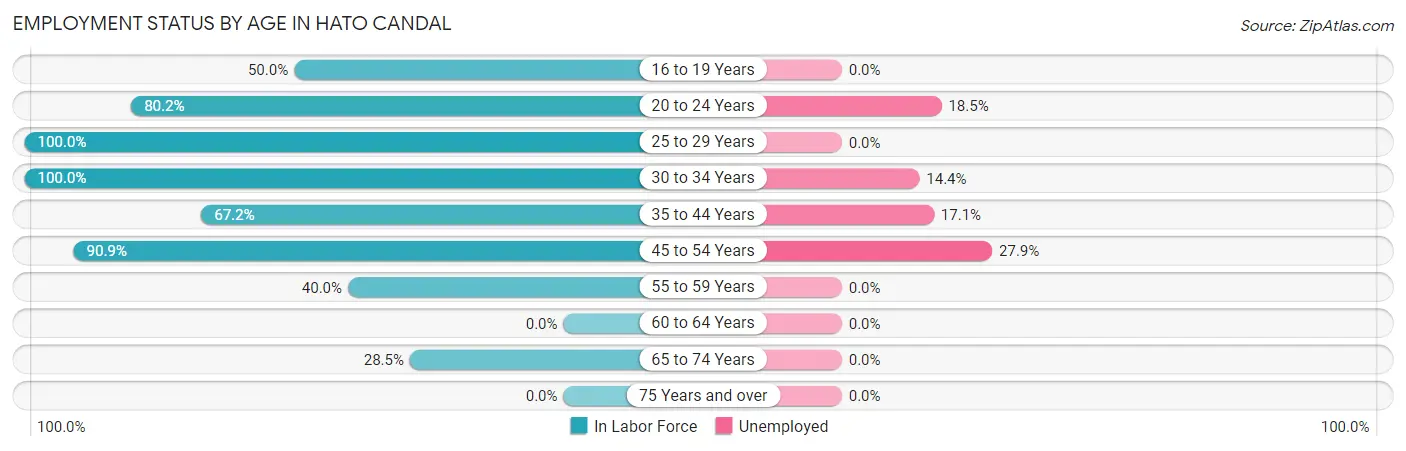 Employment Status by Age in Hato Candal