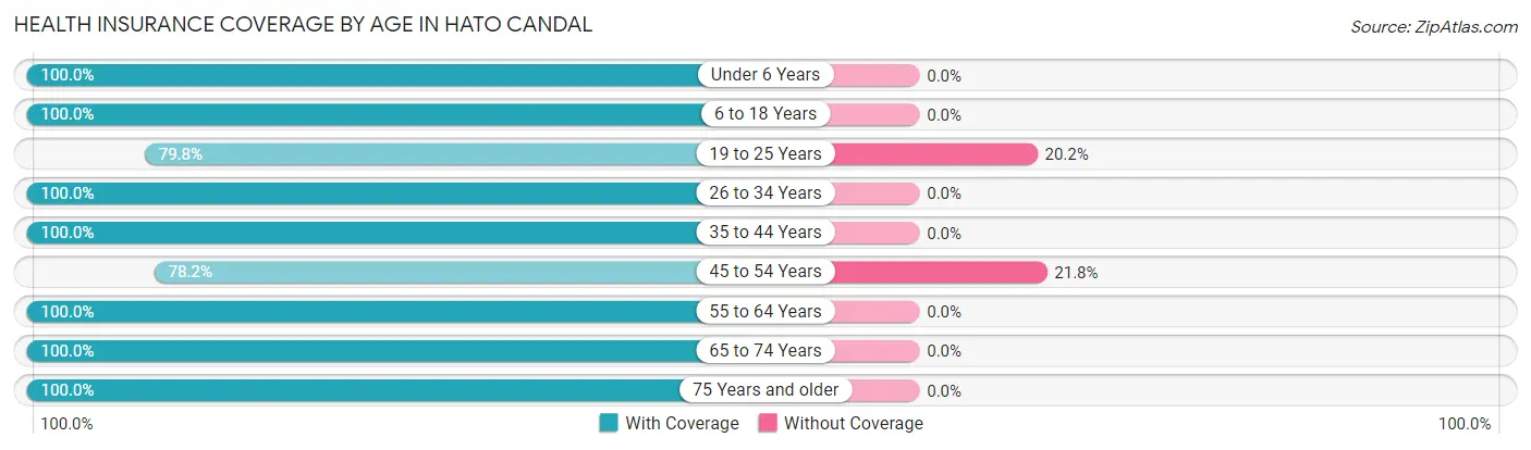 Health Insurance Coverage by Age in Hato Candal