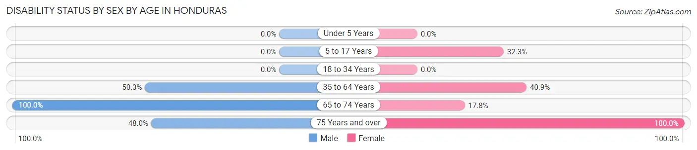 Disability Status by Sex by Age in Honduras