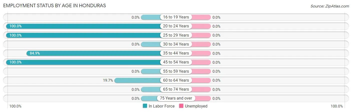 Employment Status by Age in Honduras