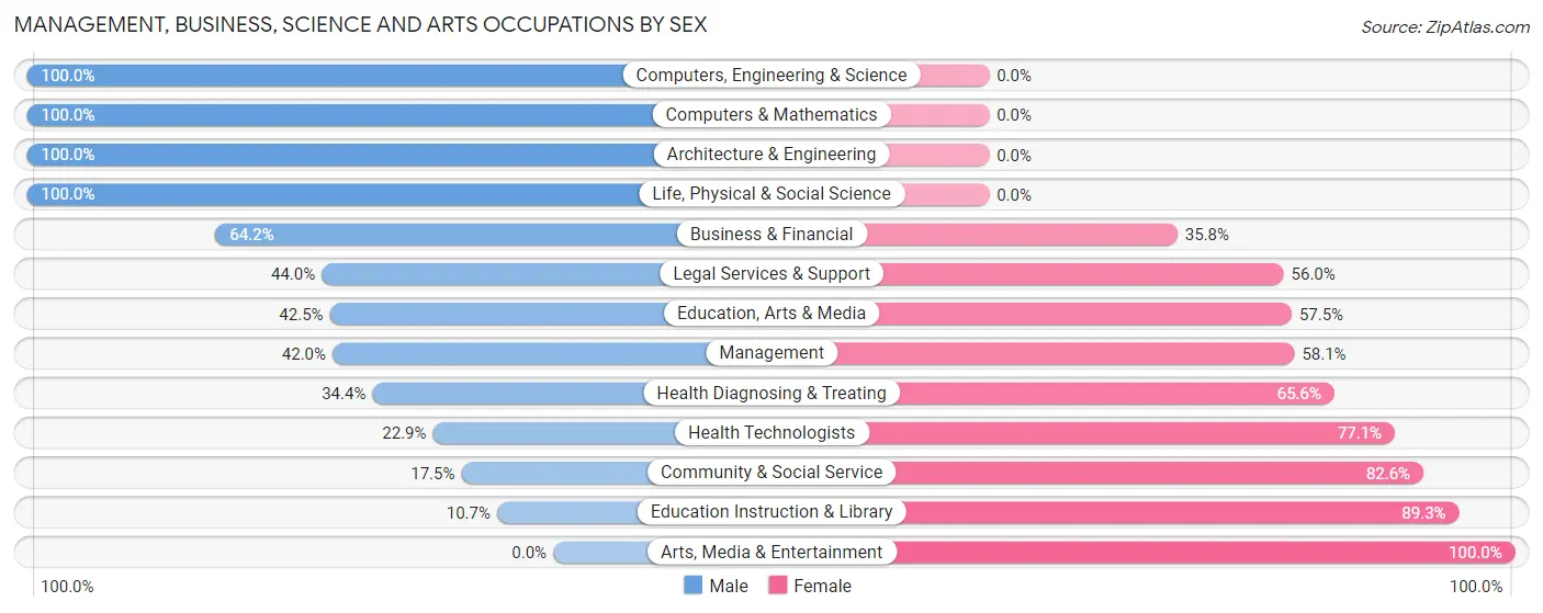 Management, Business, Science and Arts Occupations by Sex in Hormigueros