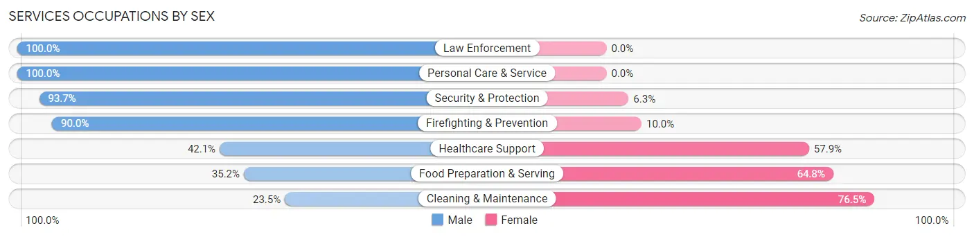 Services Occupations by Sex in Hormigueros