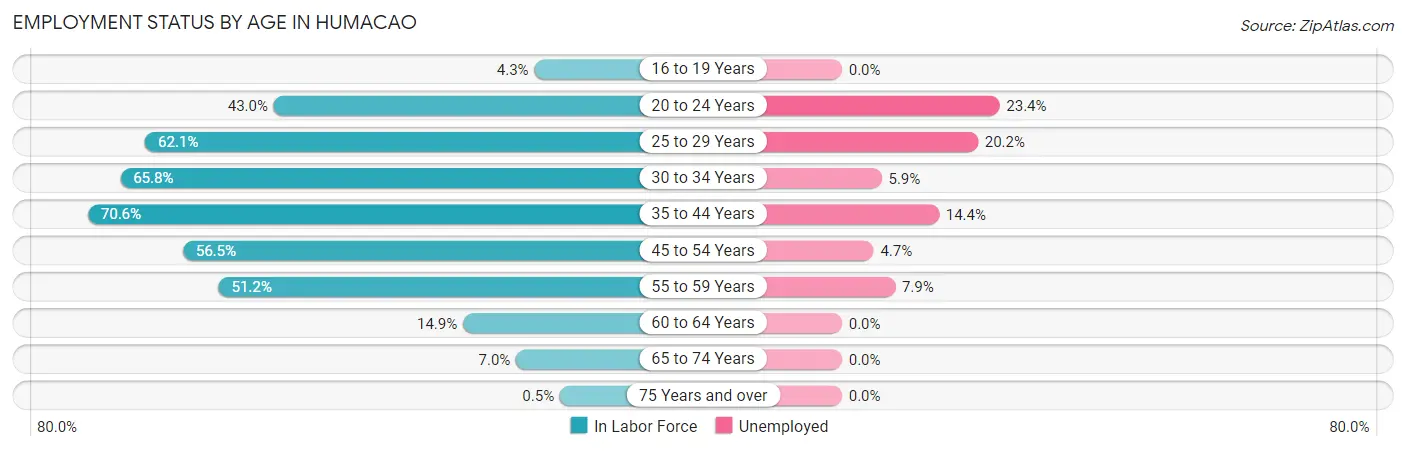 Employment Status by Age in Humacao