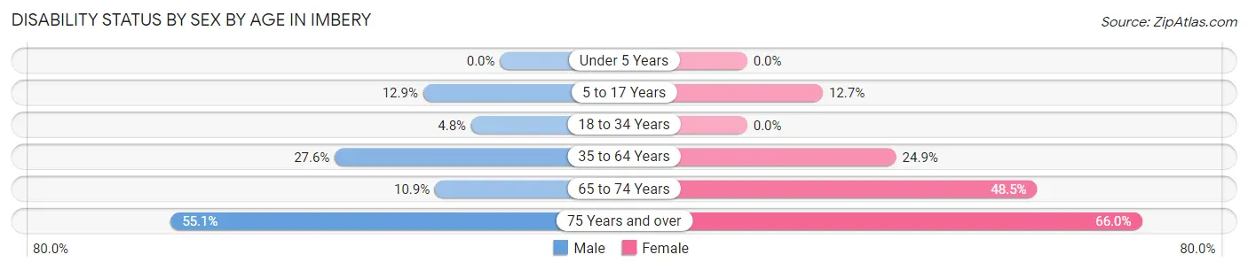 Disability Status by Sex by Age in Imbery