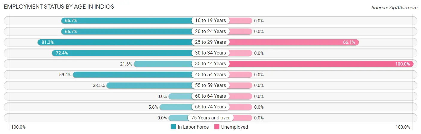 Employment Status by Age in Indios