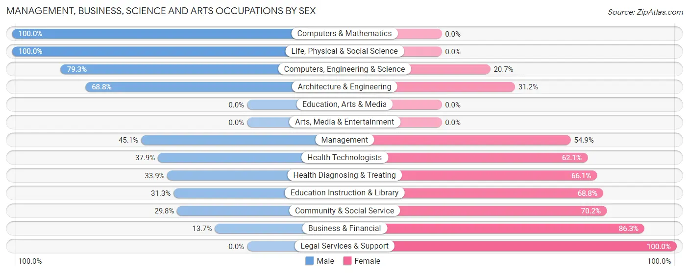 Management, Business, Science and Arts Occupations by Sex in Isabela