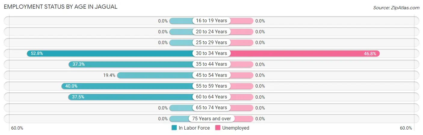 Employment Status by Age in Jagual